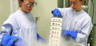 Biobank sample