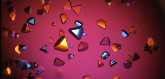 Crystal Form Discovery