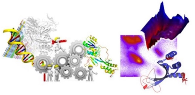 Molecular Dynamics