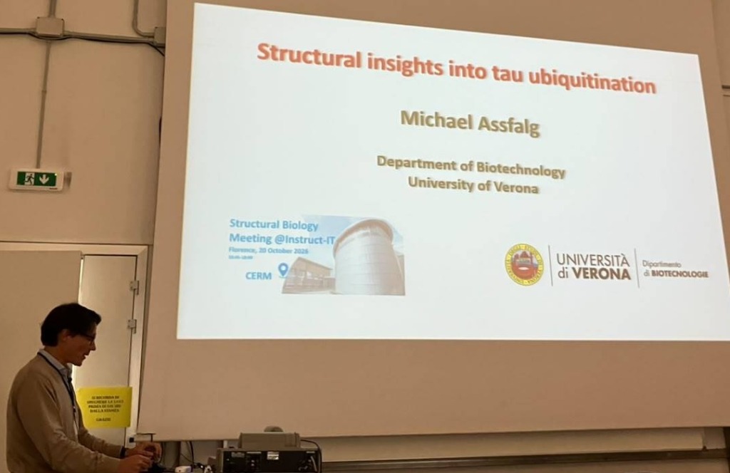 Michael Assfalg gives a presentation on structural insights into tau ubiquitination.
