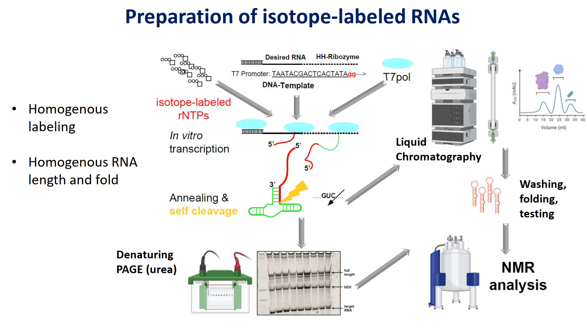 RNA sample production 